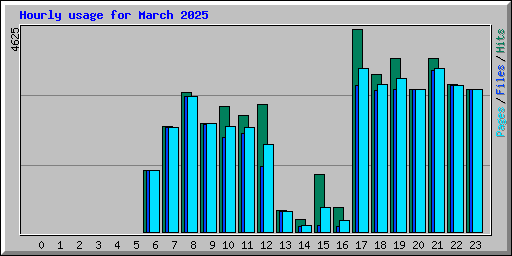Hourly usage for March 2025
