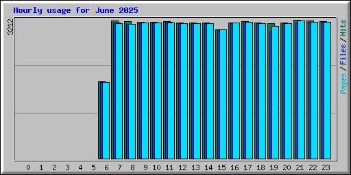 Hourly usage for June 2025