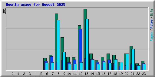 Hourly usage for August 2025