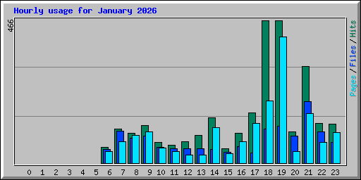 Hourly usage for January 2026